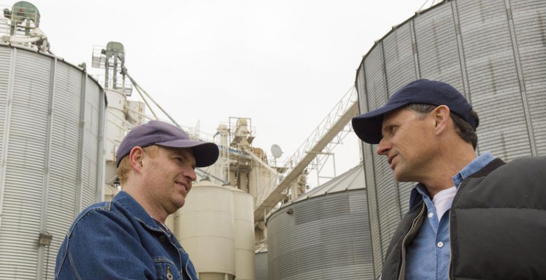 Шахрайства на елеваторах, як автоматичний облік робить зберігання зерна прозорим