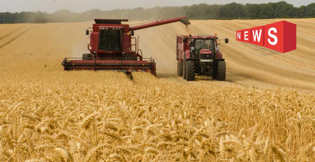 Контроль якості зерна