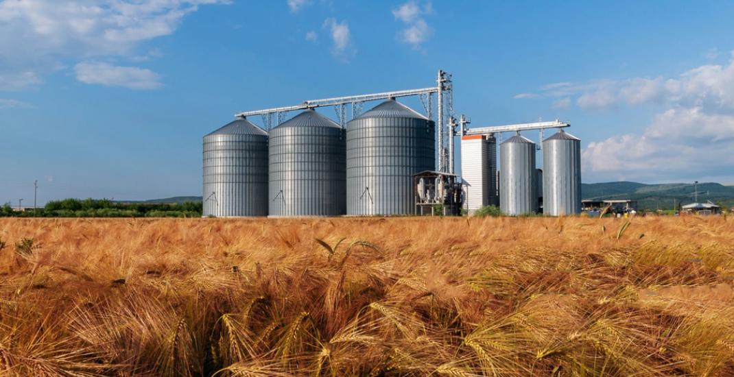 Як знизити операційні витрати на зерновому елеваторі. Топ порад від фахівців