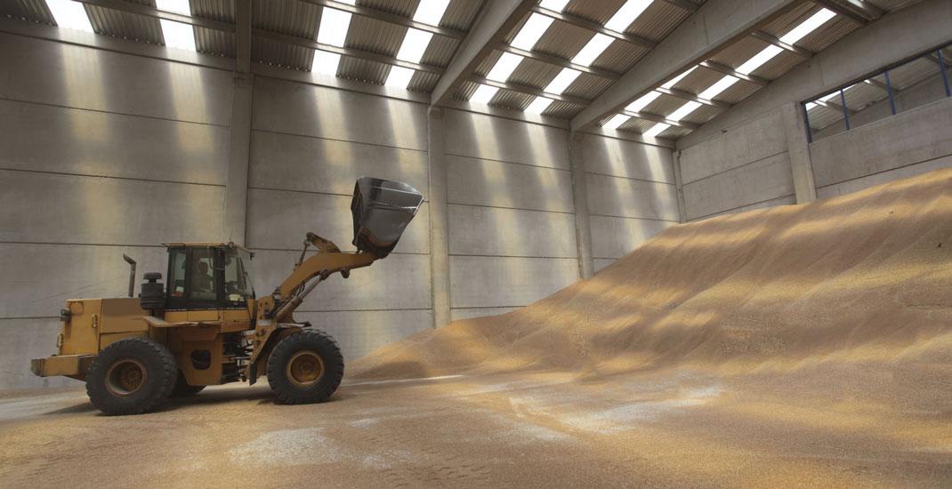 Інвентаризація зерна. Пам'ятка для спеціалістів