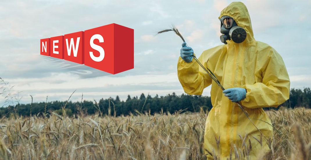 Європейська Комісія знижує допустимі рівні залишків біфеназату у зернових культурах