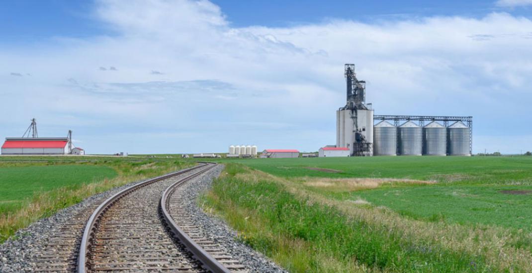 Зерно на вагоні. Чи справді експорт з елеватора - нова тенденція?
