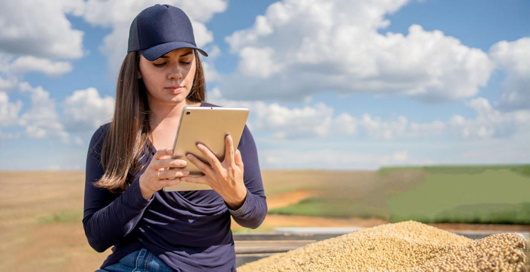 Эффективная автоматизация. Как программы трансформируют работу зернотрейдера