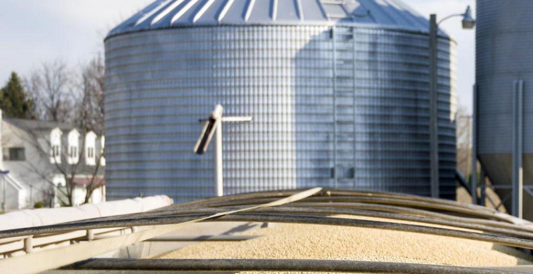 Соя. Особливості приймання та зберігання на елеваторі