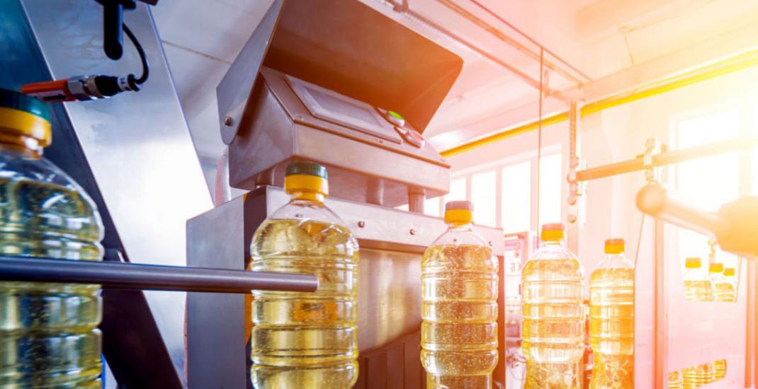 Рентабельність переробки олійних культур в Україні, чи може «прозорий» облік змінити правила гри?