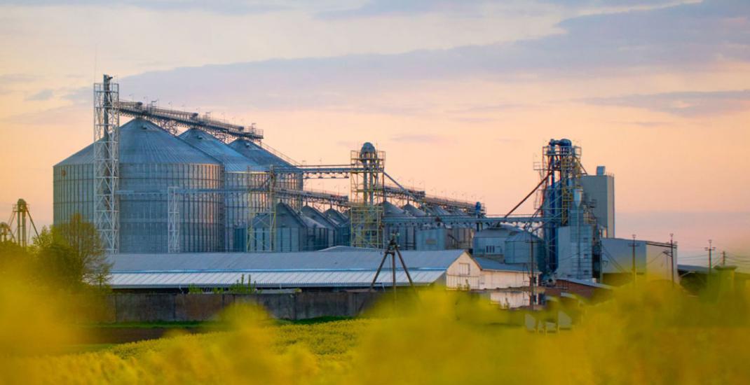 Які бувають види зернових елеваторів. Повна класифікація