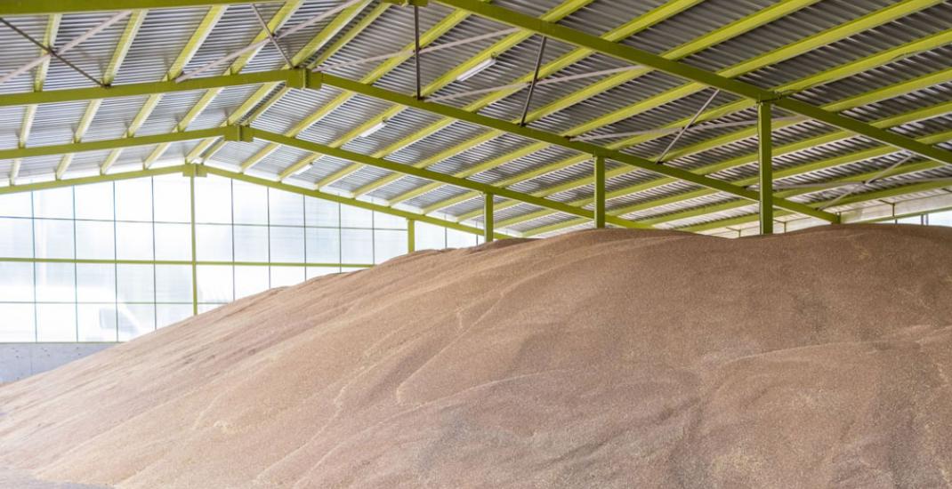 Вибір зерносховища - склад, елеватор чи зерновий рукав