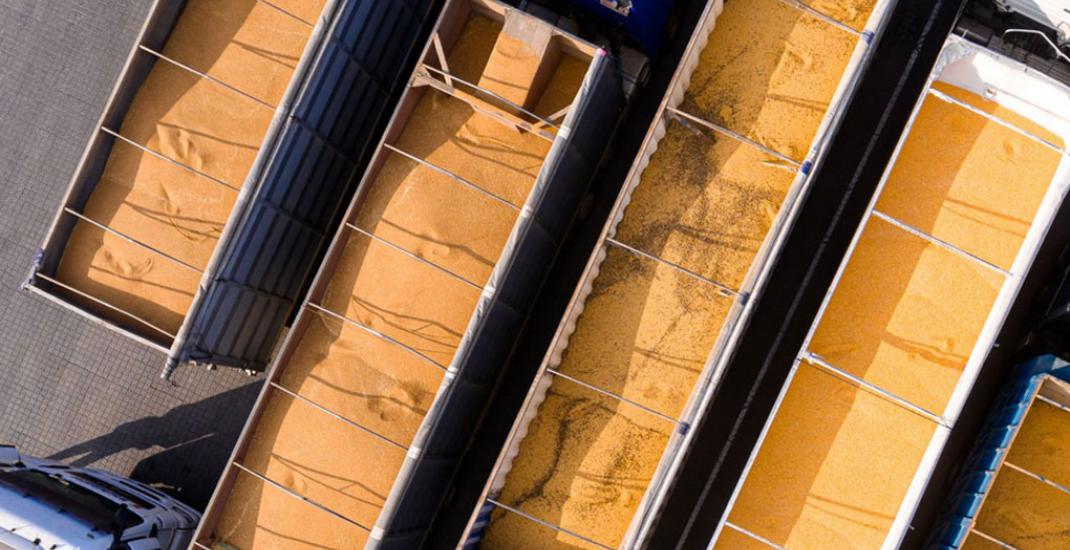 Втрати зерна на елеваторі під час обліку. Як уникнути перевідпуску або недостачі