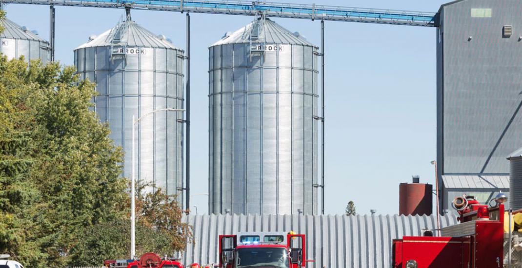 Облік зерна в умовах воєнних ризиків: форс-мажор, страхування, резерви