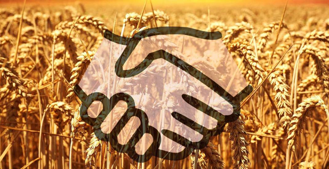 Організаційні форми зберігання зерна на елеваторі. Яку обрати.