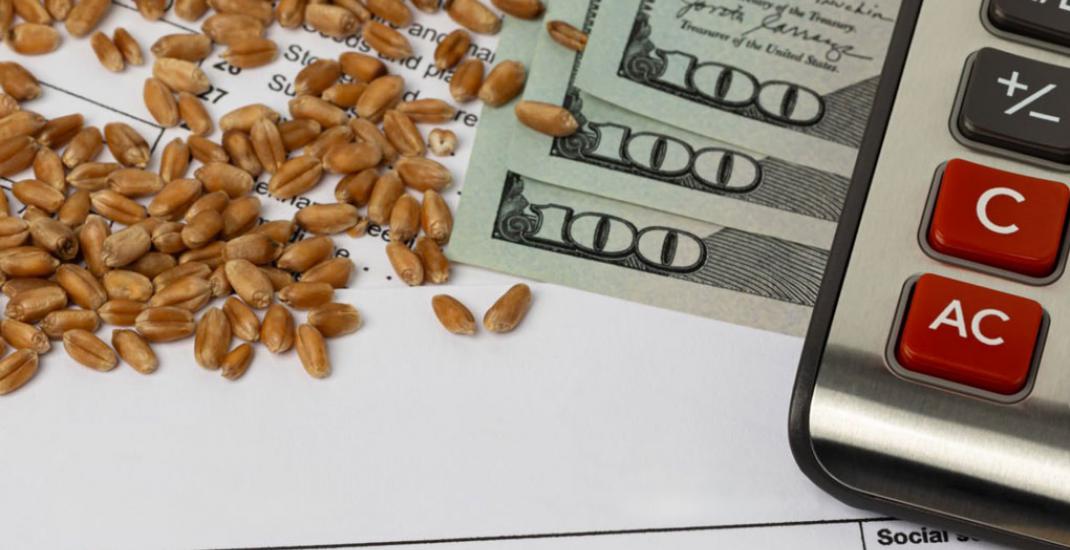 Зерно як заставне майно. Облік і юридичні аспекти