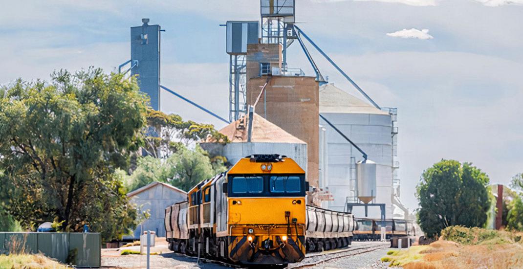 продаж зерна за кордон бухоблік