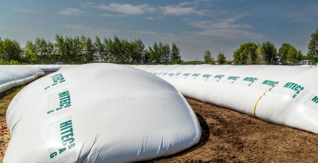 Бухгалтерський облік зберігання зерна в полімерних рукавах. Практичний гід для агропідприємств