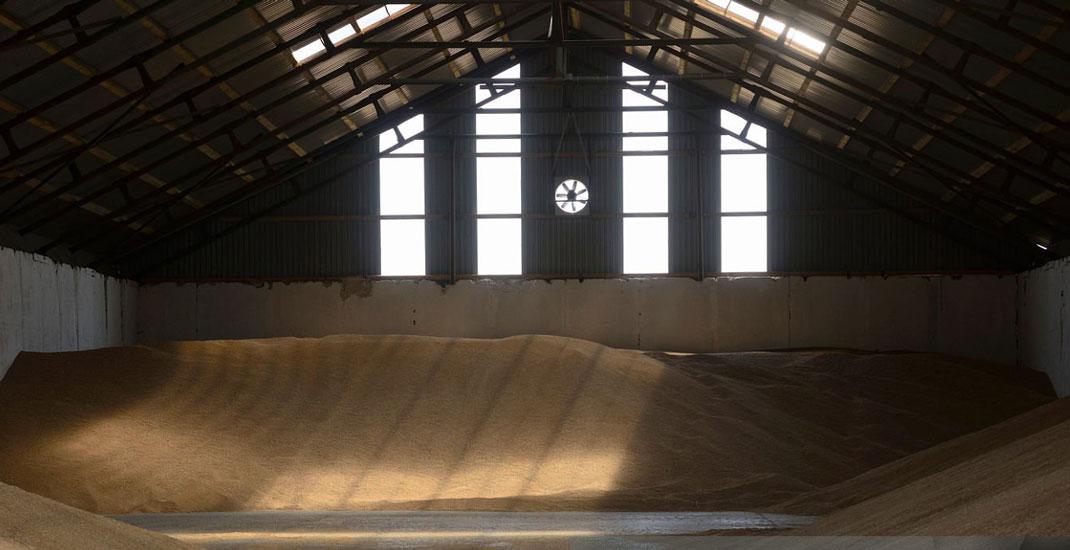 Зберігання зерна. Довіритись елеваторам чи зберігати самому?