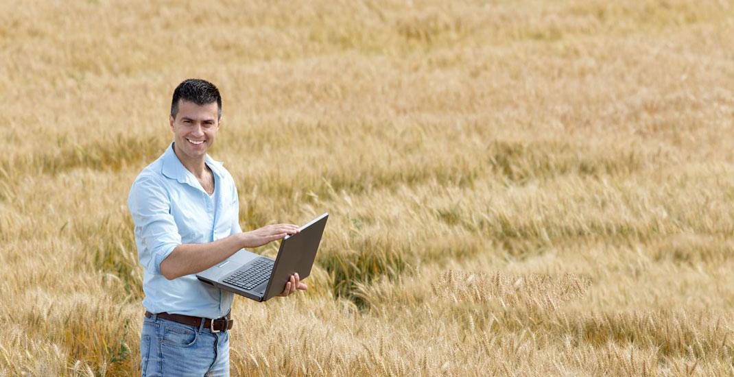 Как зернотрейдерам автоматизировать работу с поставщиками зерна