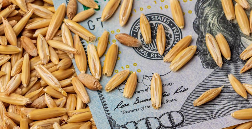 Конкуренція на ринку зерна в Україні. Нові стратегії залучення клієнтів